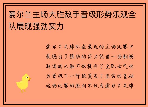 爱尔兰主场大胜敌手晋级形势乐观全队展现强劲实力