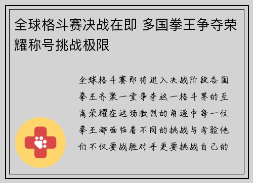 全球格斗赛决战在即 多国拳王争夺荣耀称号挑战极限